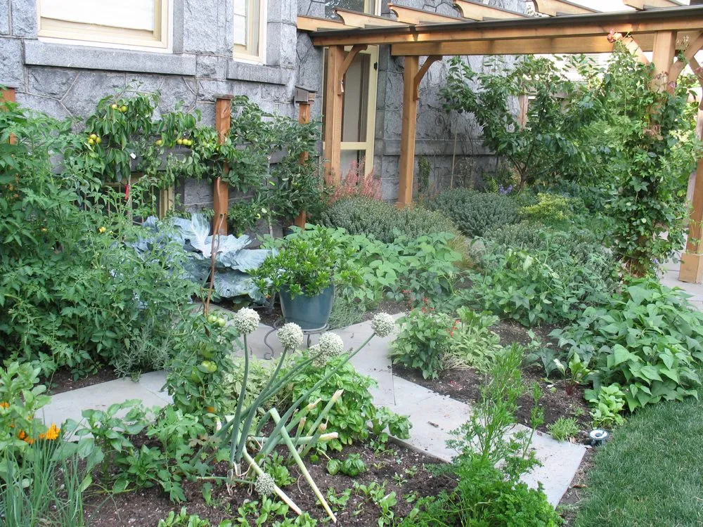 Top-rated garden landscaping experts serving Auburn, WA - Everlast Landscape