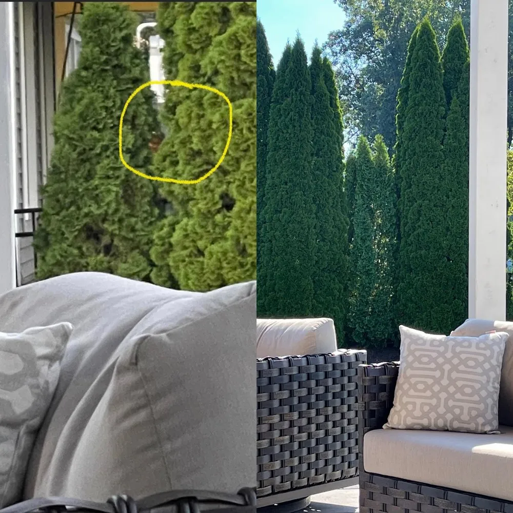 Custom yard cleanup service experts serving Woodstock, IL - Everlast Landscaping