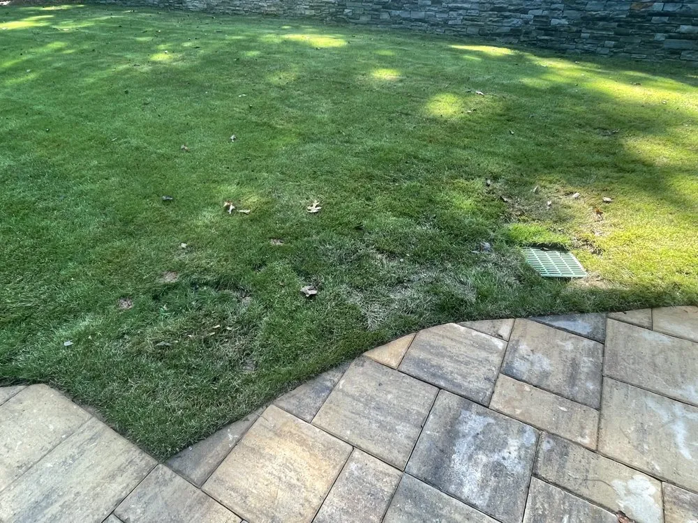 Local yard maintenance in Alpharetta, GA by Everlast Lawns and Landscapes