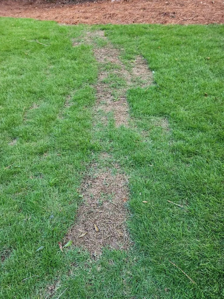 Top-rated outdoor landscaping in Alpharetta, GA - Everlast Lawns and Landscapes