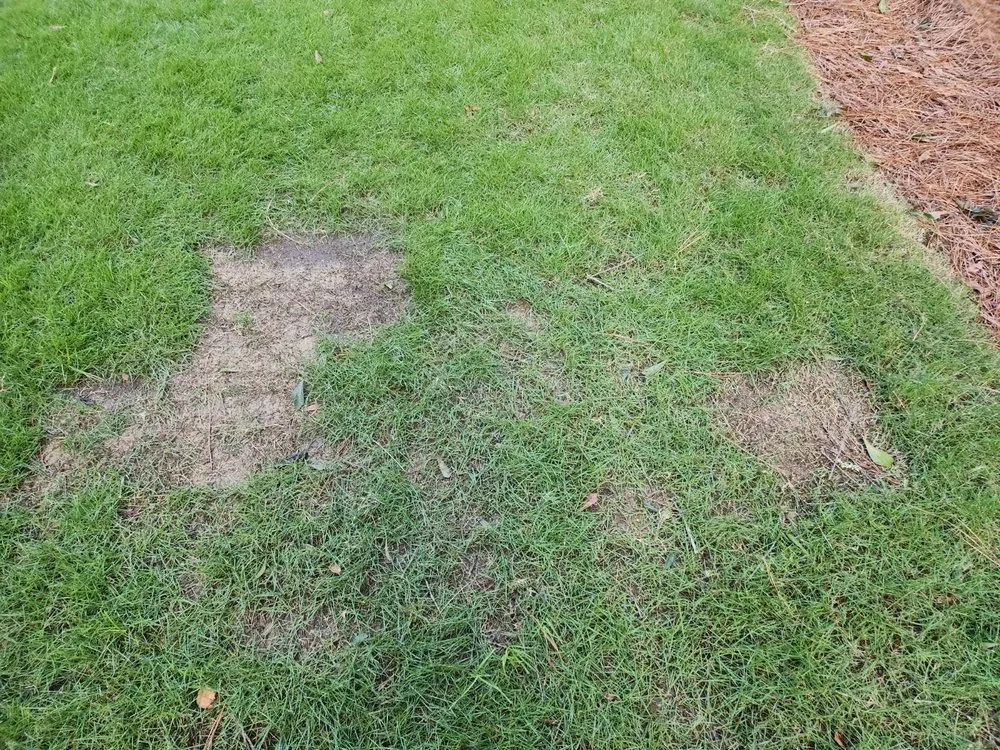 Local landscape installation with custom design in Alpharetta, GA by Everlast Lawns and Landscapes