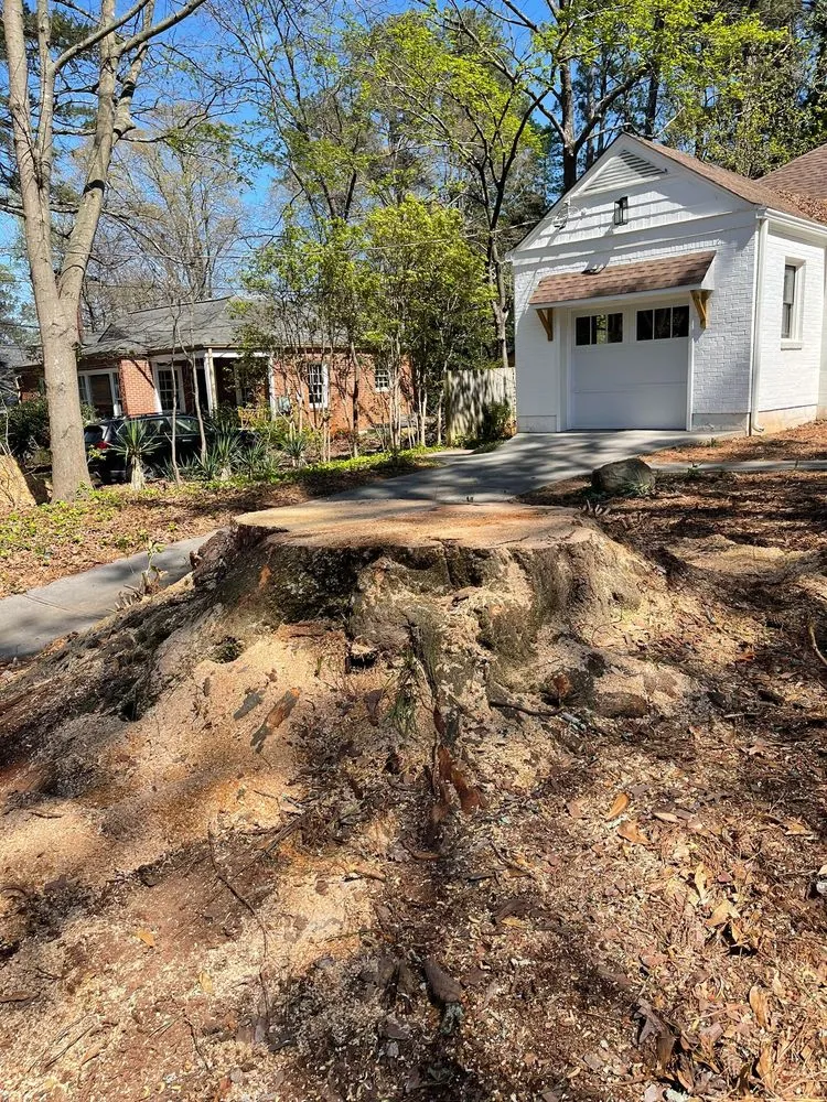 Local lawn care service in Powder Springs, GA by Everlast Tree Services & Stump Grinding