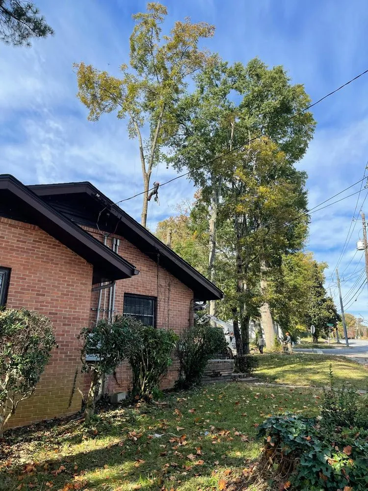 Affordable yard maintenance for beautiful yards in Powder Springs, GA by Everlast Tree Services & Stump Grinding