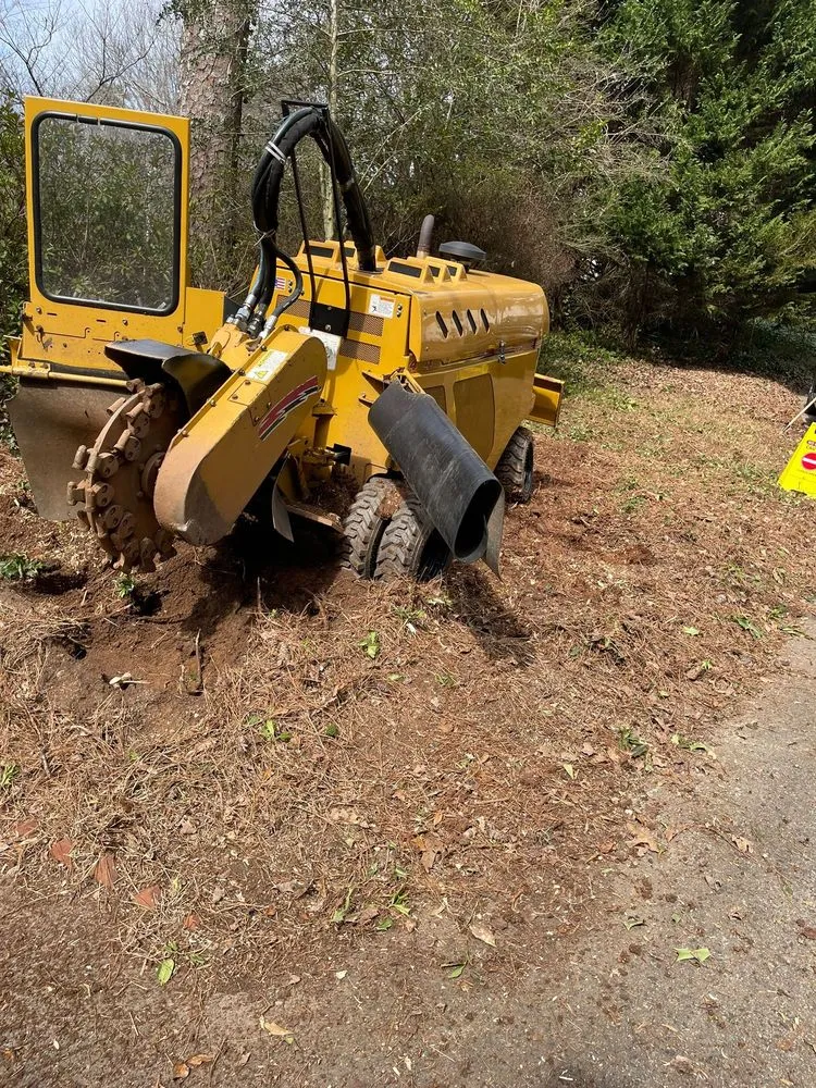 Reliable landscape design experts serving Powder Springs, GA - Everlast Tree Services & Stump Grinding