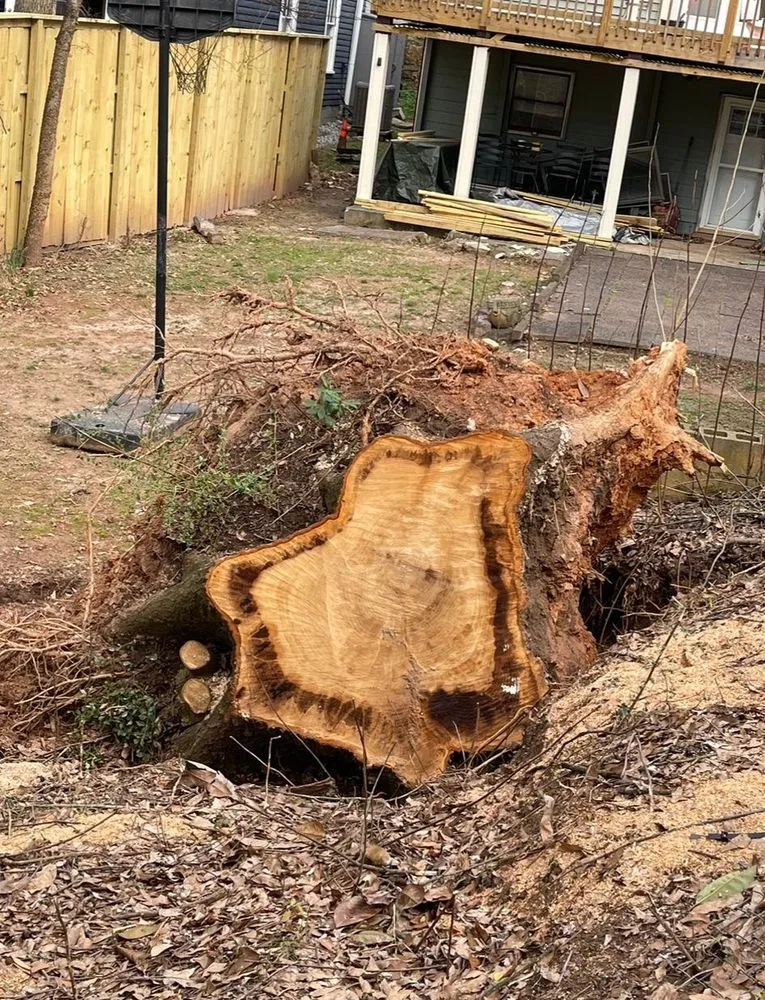 Custom lawn mowing service in Powder Springs, GA by Everlast Tree Services & Stump Grinding