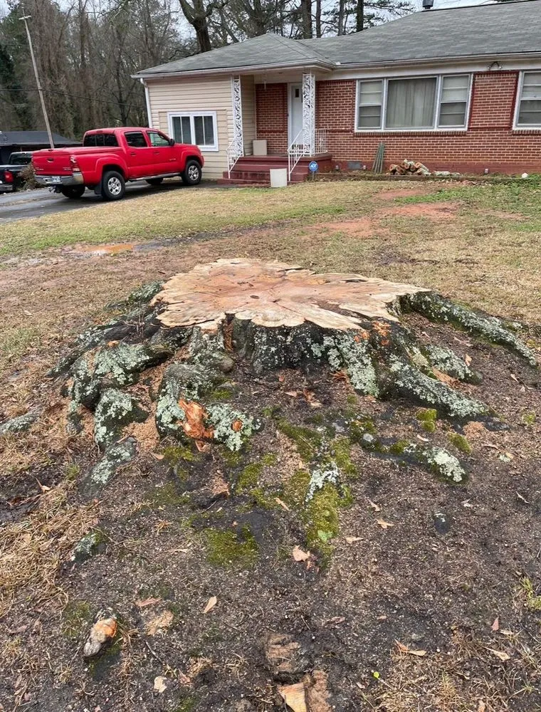 Custom landscaping services experts serving Powder Springs, GA - Everlast Tree Services & Stump Grinding