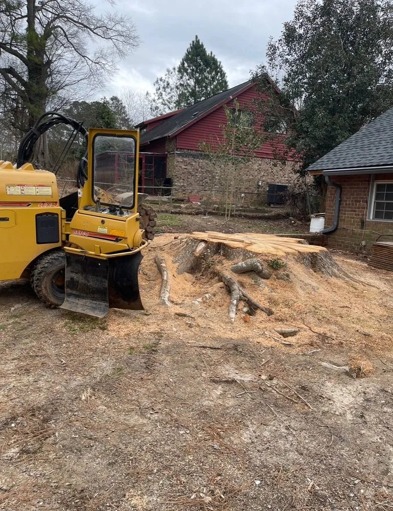 Reliable residential landscaping in Powder Springs, GA - Everlast Tree Services & Stump Grinding