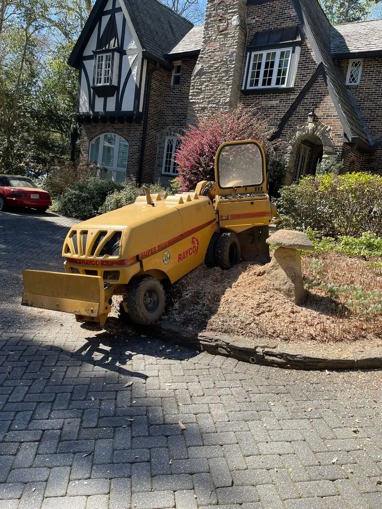 Top-rated landscape design in Powder Springs, GA - Everlast Tree Services & Stump Grinding