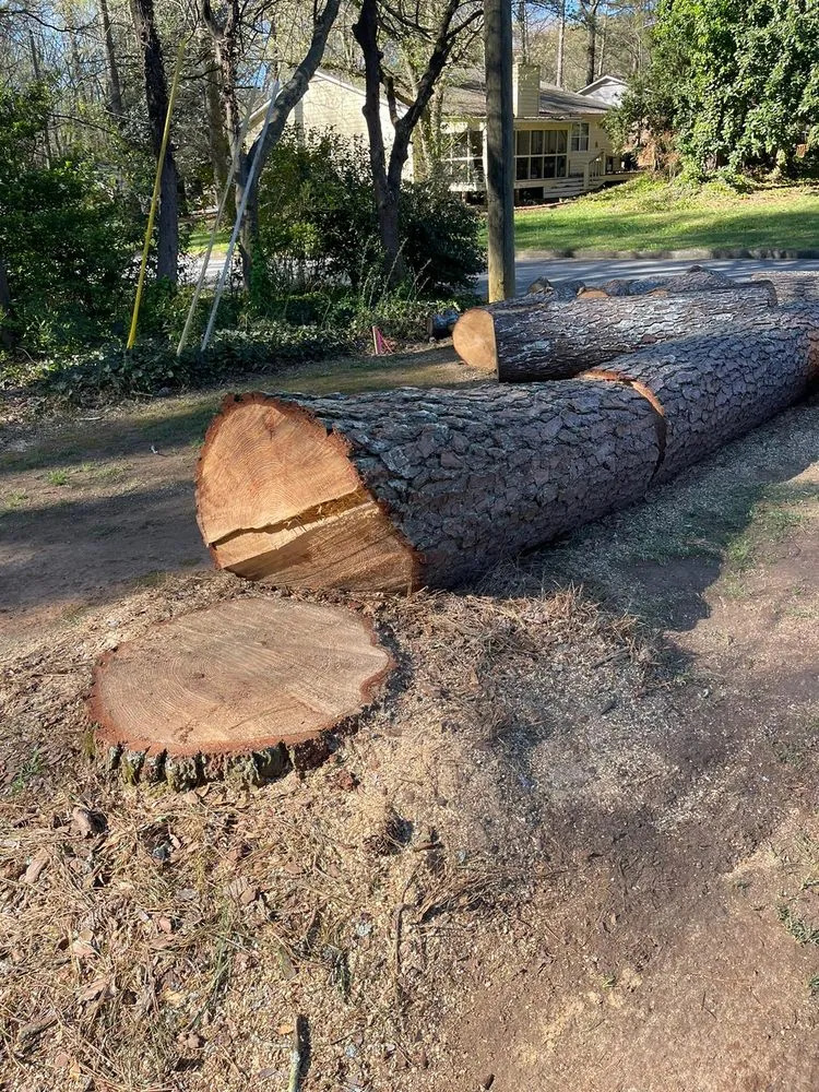 Affordable landscape design for beautiful yards in Powder Springs, GA by Everlast Tree Services & Stump Grinding