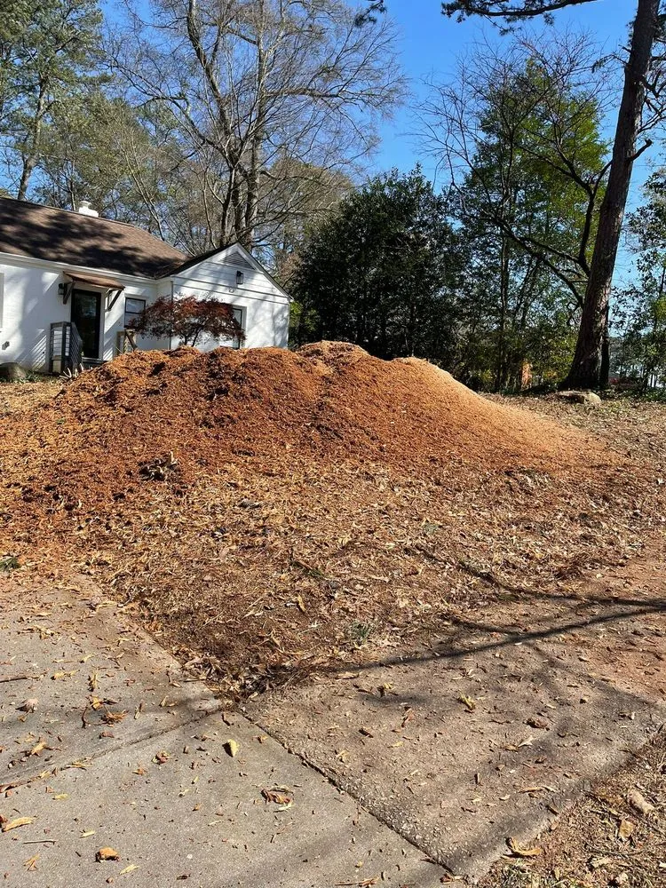 Reliable residential landscaping experts serving Powder Springs, GA - Everlast Tree Services & Stump Grinding