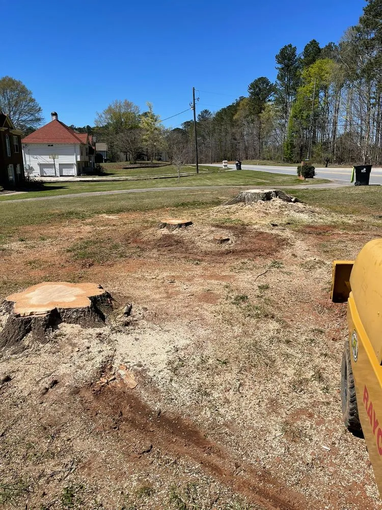 Local garden landscaping in Powder Springs, GA - Everlast Tree Services & Stump Grinding