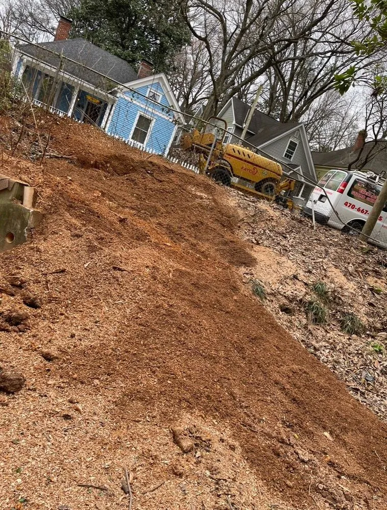 Local landscaping services experts serving Powder Springs, GA - Everlast Tree Services & Stump Grinding