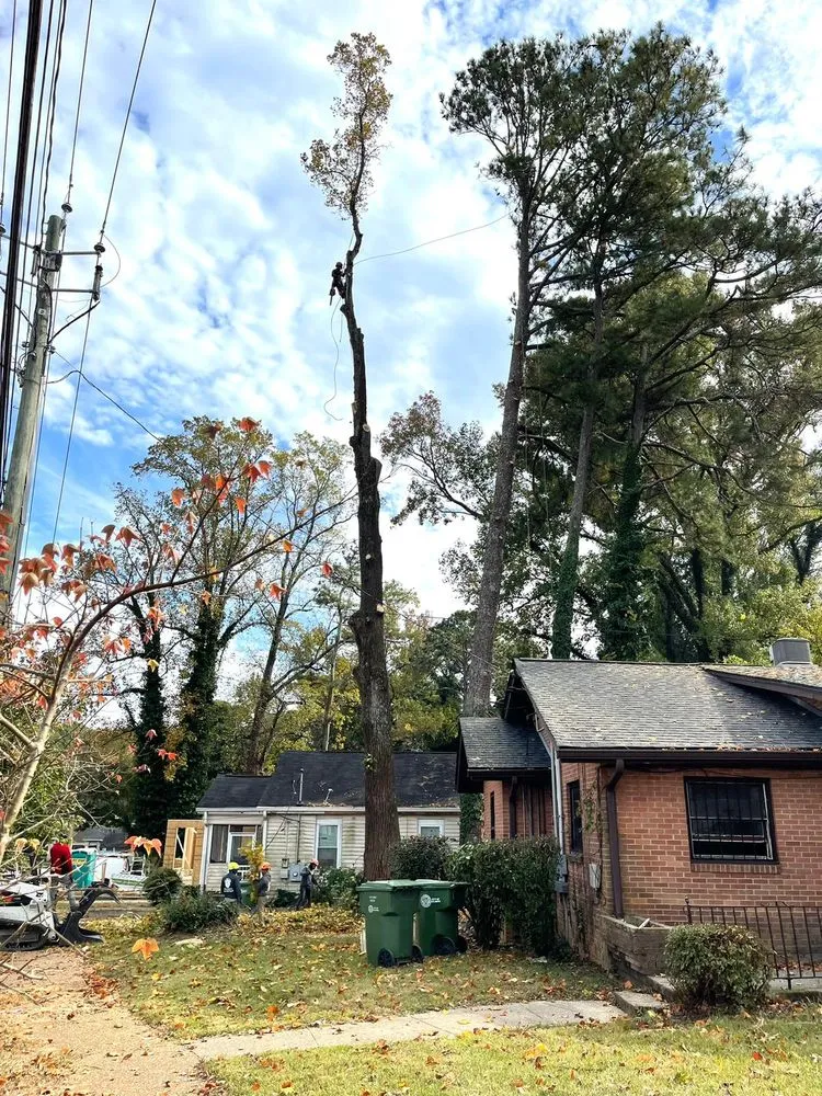 Custom landscaping services for homes across Powder Springs, GA - Everlast Tree Services & Stump Grinding