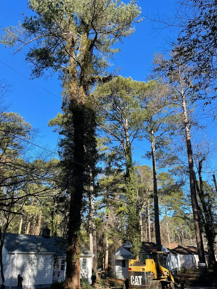 Professional garden landscaping for beautiful yards in Powder Springs, GA by Everlast Tree Services & Stump Grinding