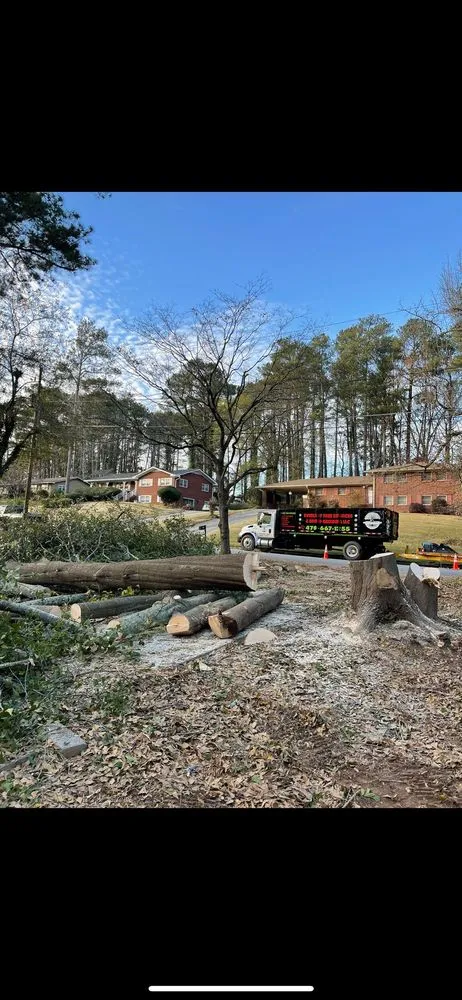 Custom outdoor landscaping for outdoor upgrades in Powder Springs, GA by Everlast Tree Services & Stump Grinding