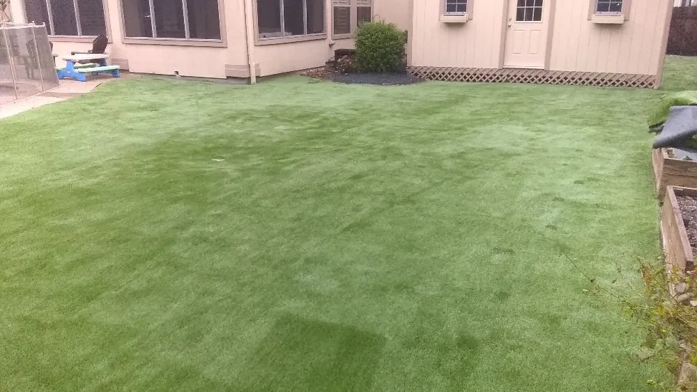 Professional lawn mowing service in Spring, TX by Everlasting Greens