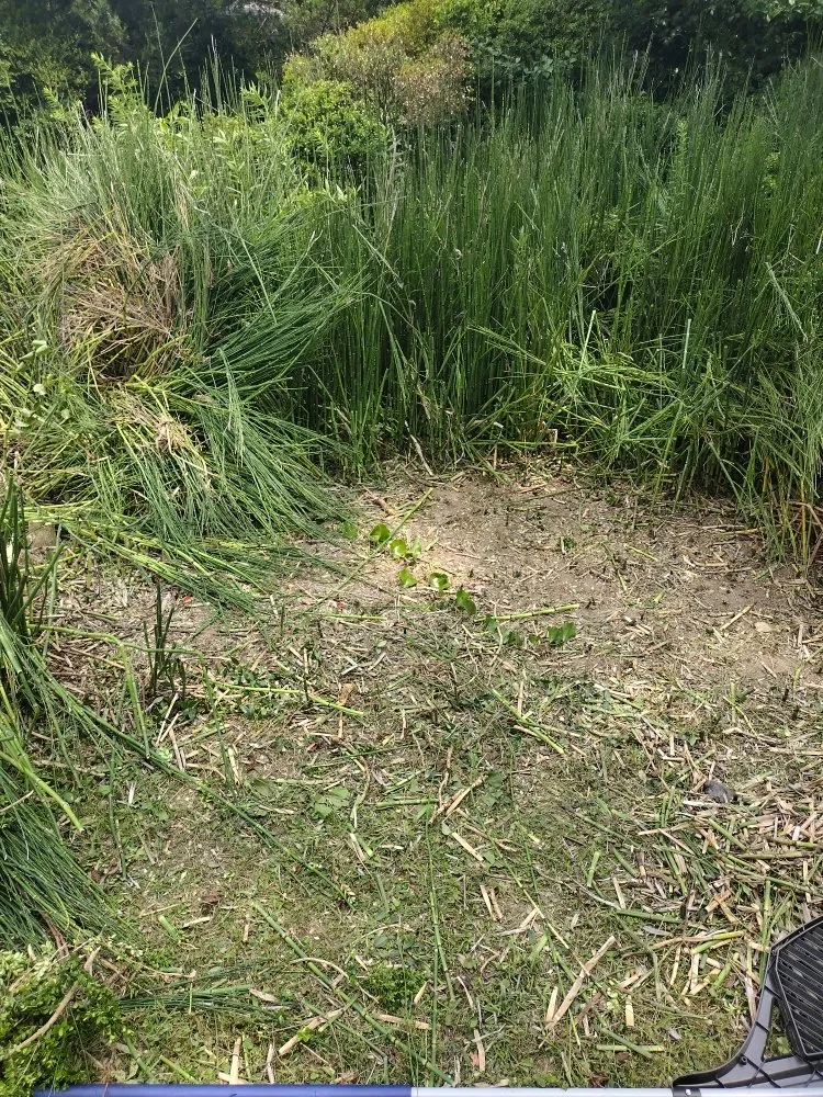 Trusted landscape installation experts serving Newark, DE - Everlasting Impressions Lawn Care and Landscaping