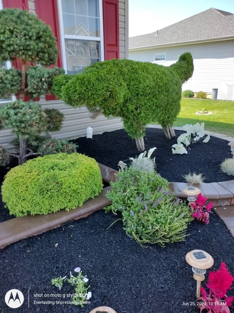 Top-rated yard maintenance in Newark, DE - Everlasting Impressions Lawn Care and Landscaping