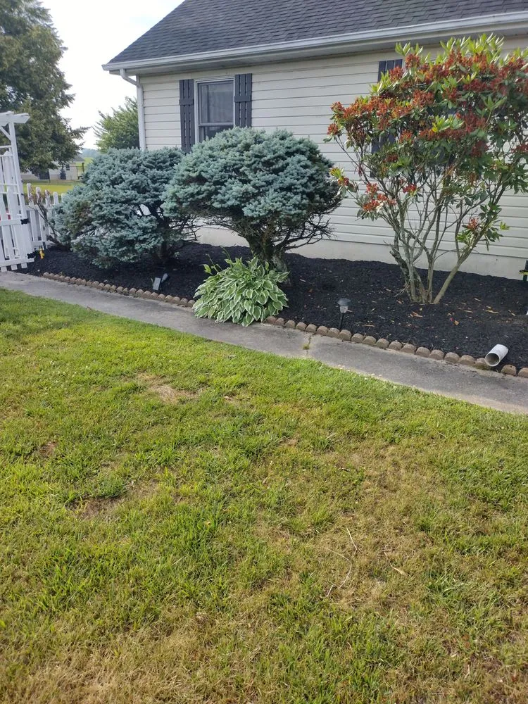 Top-rated yard maintenance for residential properties across Newark, DE - Everlasting Impressions Lawn Care and Landscaping
