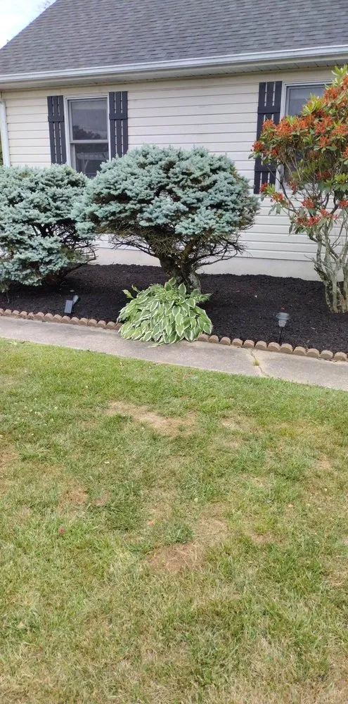 Reliable outdoor landscaping near you across Newark, DE - Everlasting Impressions Lawn Care and Landscaping
