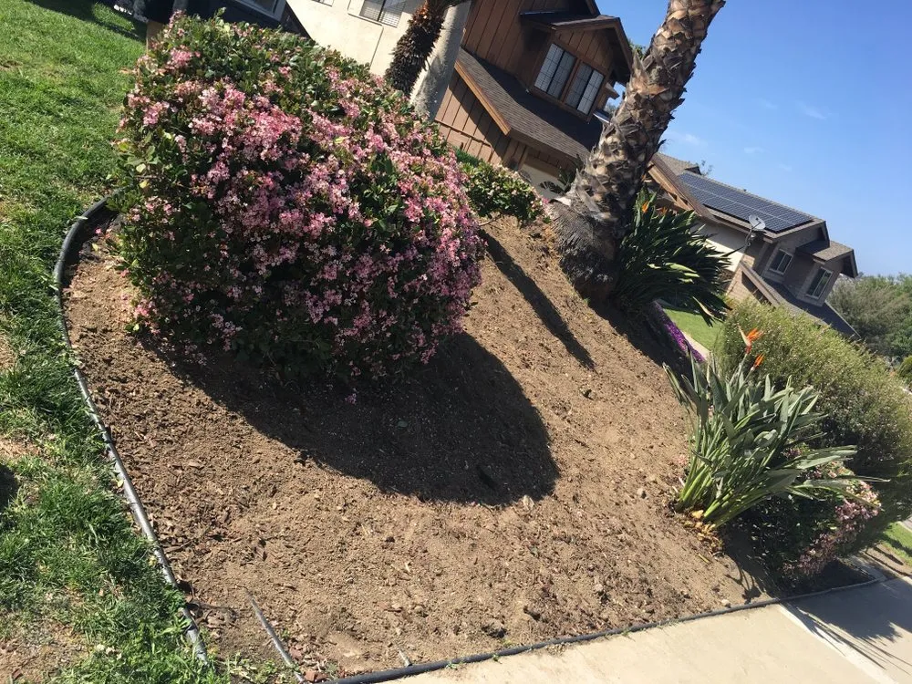 Trusted lawn mowing service in El Cajon, CA - Everlasting Landscape And Tree Service
