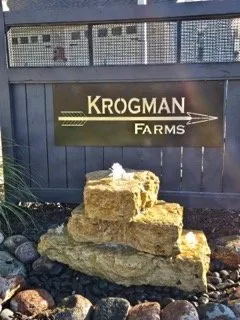 Custom yard cleanup service for residential properties across DeWitt, IA - Everlasting Landscape