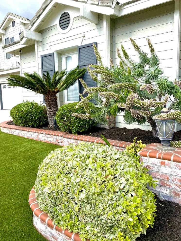 Trusted landscaping services in Mission Viejo, CA by Everlasting Landscape