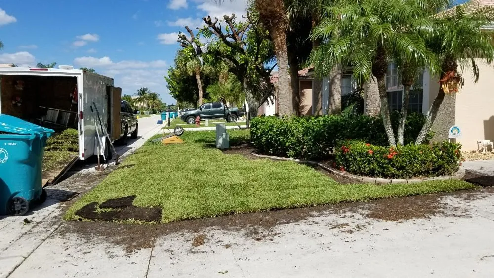 Professional landscaping services for year-round maintenance across Boynton Beach, FL - Everlasting Lawn