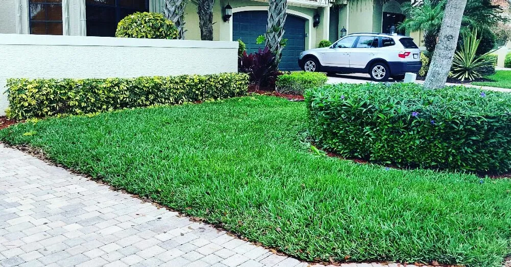 Expert outdoor landscaping in Boynton Beach, FL - Everlasting Lawn
