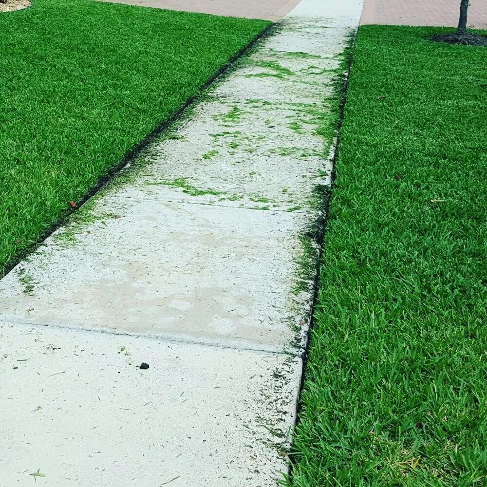 Local residential landscaping in Boynton Beach, FL by Everlasting Lawn