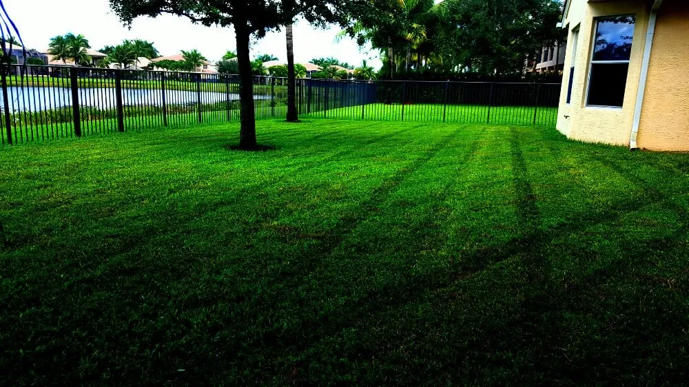 Professional outdoor landscaping in Boynton Beach, FL - Everlasting Lawn