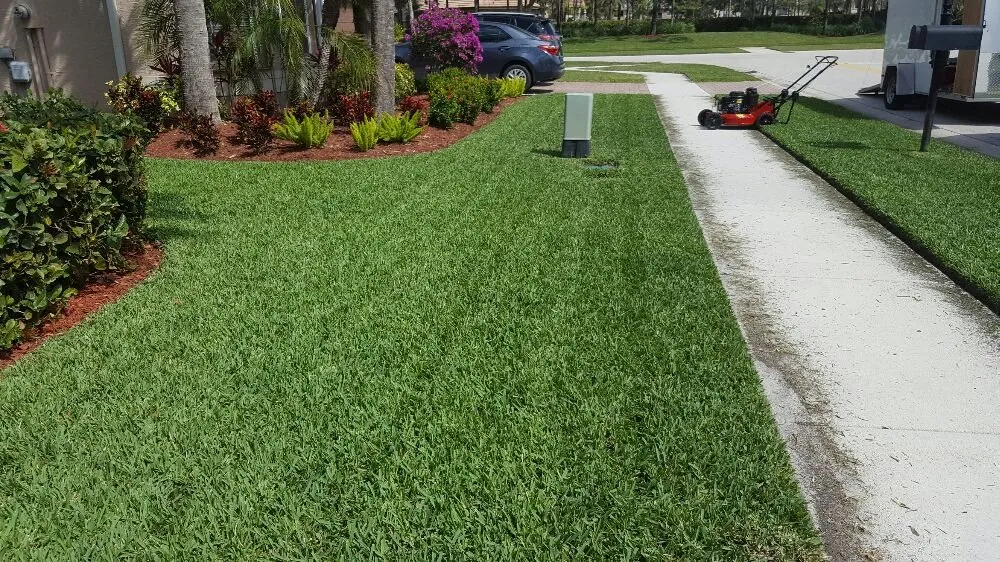 Local yard cleanup service with custom design in Boynton Beach, FL by Everlasting Lawn