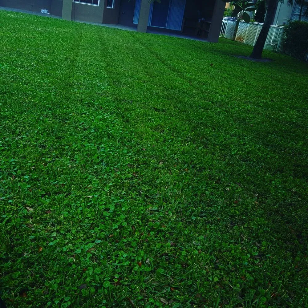 Reliable residential landscaping experts serving Boynton Beach, FL - Everlasting Lawn