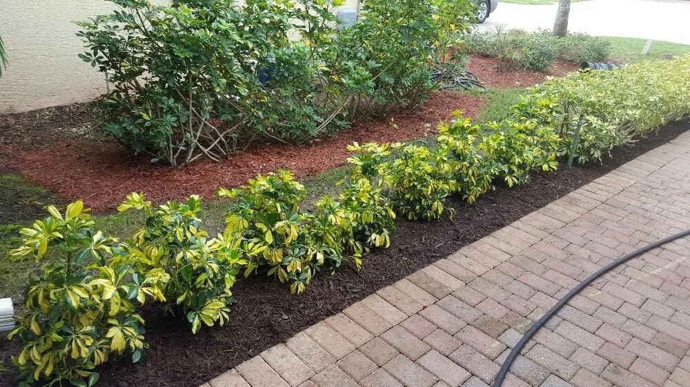 Local yard maintenance in Boynton Beach, FL - Everlasting Lawn