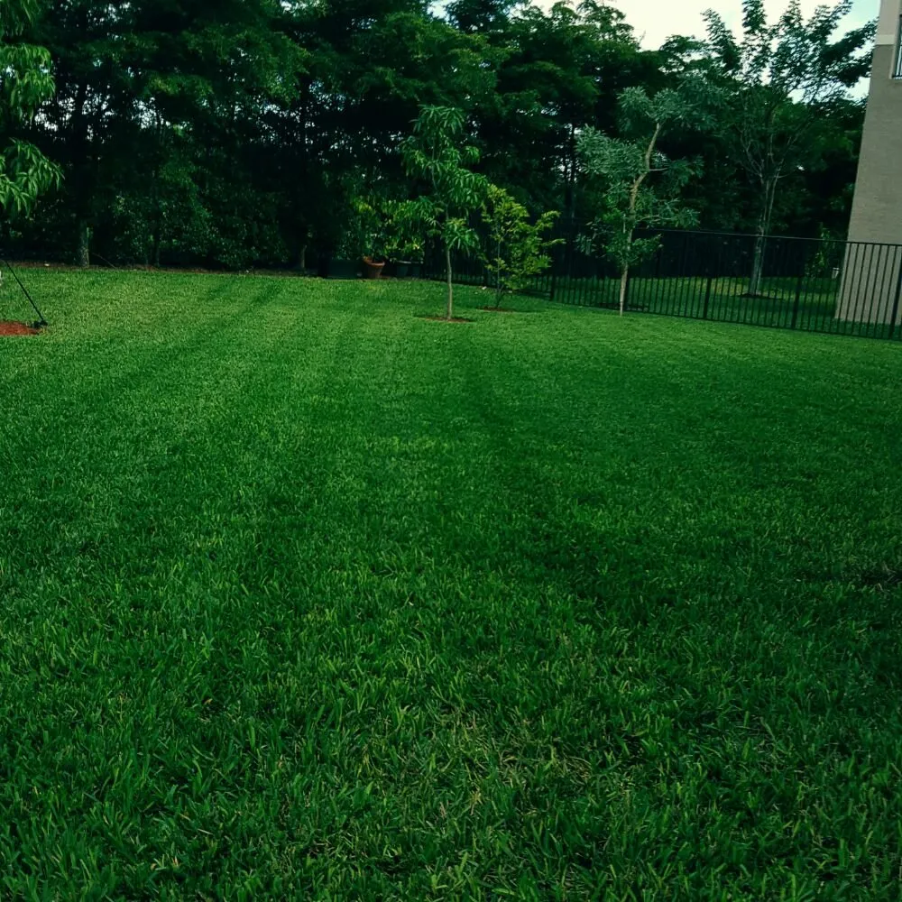 Trusted lawn care service in Boynton Beach, FL - Everlasting Lawn