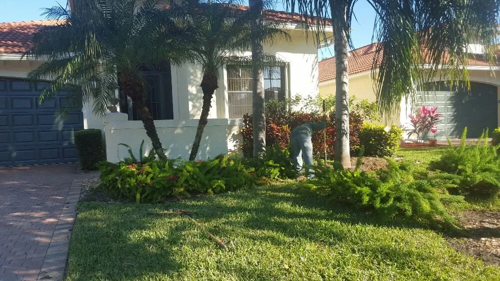 Reliable lawn care service for homes across Boynton Beach, FL - Everlasting Lawn