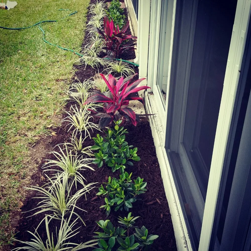 Trusted landscape installation with custom design across Boynton Beach, FL - Everlasting Lawn