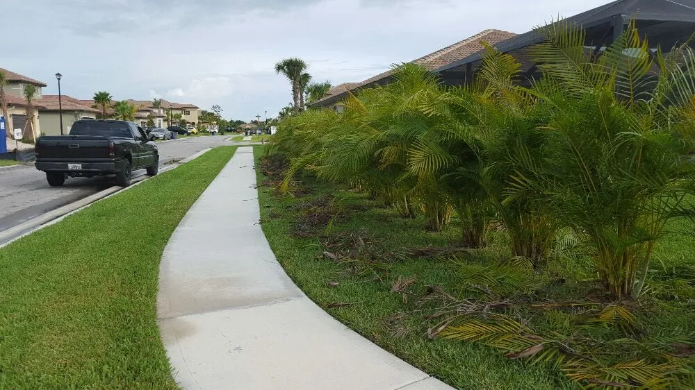 Custom outdoor landscaping in Boynton Beach, FL - Everlasting Lawn