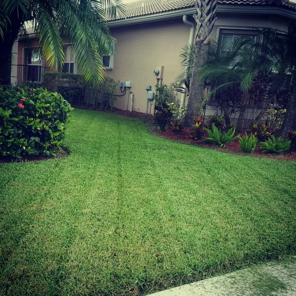 Affordable residential landscaping for residential properties in Boynton Beach, FL by Everlasting Lawn