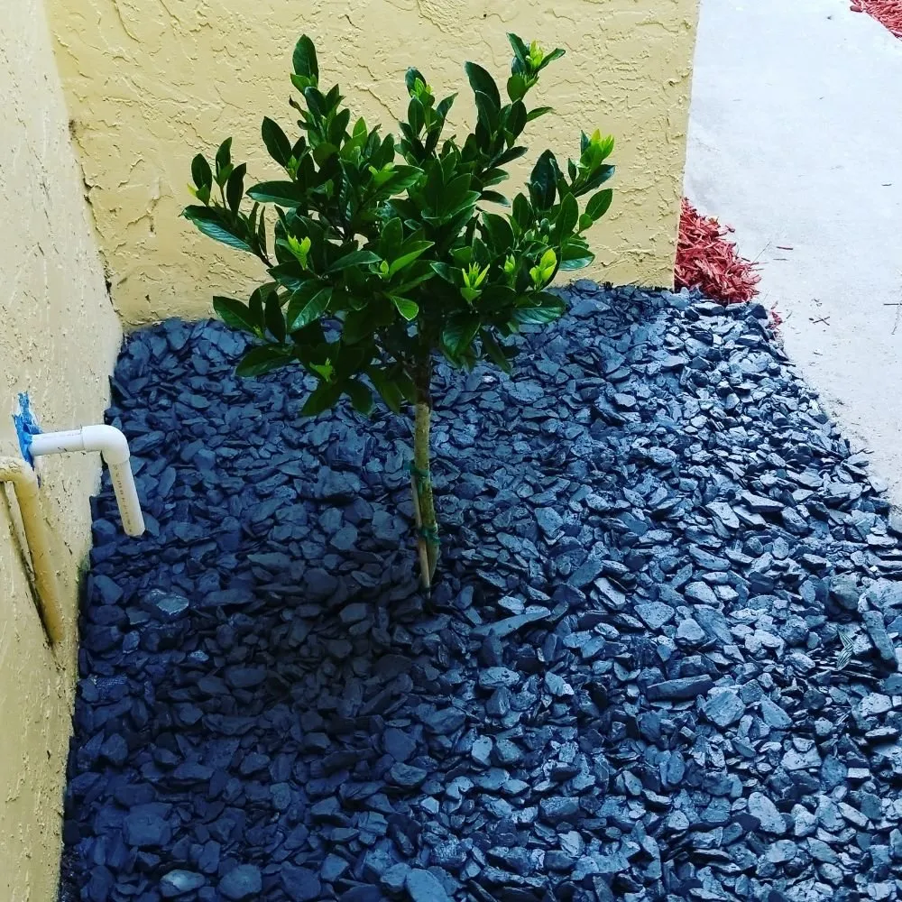 Professional outdoor landscaping in Boynton Beach, FL by Everlasting Lawn