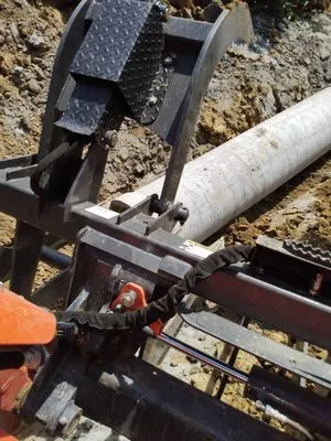 EverLasting Lawn's Landscape & Maintenance Logo