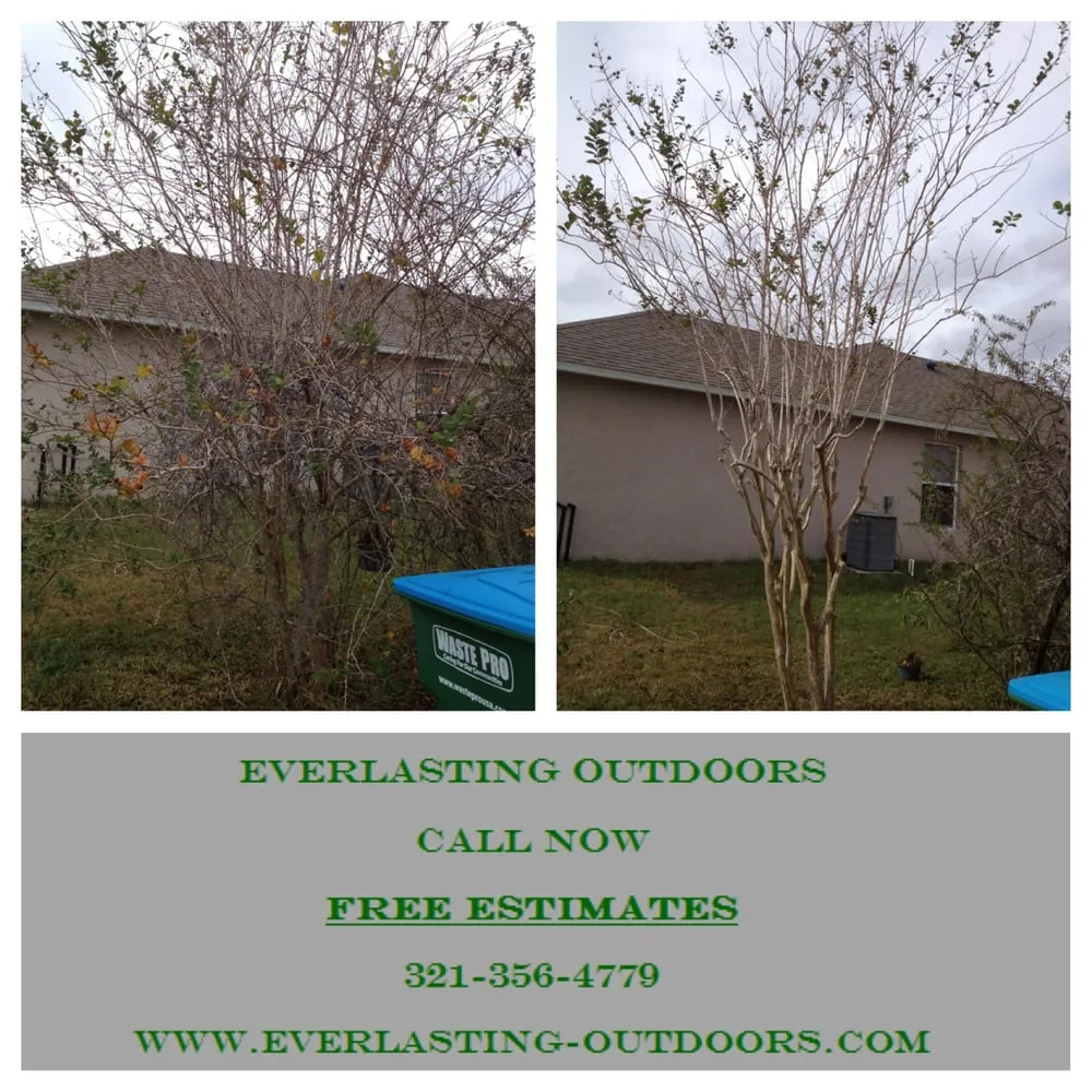 Top-rated landscaping services experts serving Stockbridge, GA - Everlasting Outdoors, LLC