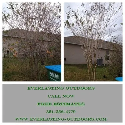 Professional landscaping services in Stockbridge, GA by Everlasting Outdoors, LLC