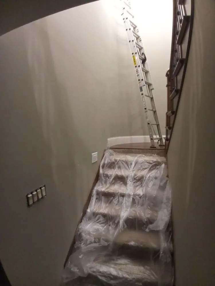 Professional yard cleanup service in Springfield, IL by Everlasting Paint & More