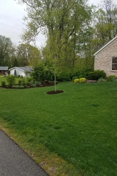 Expert garden landscaping for outdoor upgrades across Delphi, IN - Everlawn by Jamie Houser