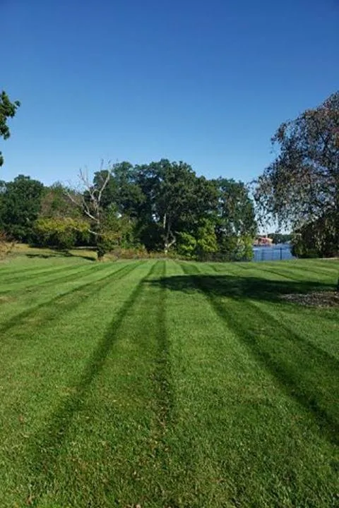 Affordable yard cleanup service in Delphi, IN by Everlawn by Jamie Houser