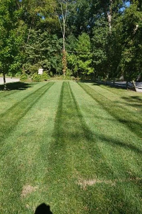 Professional lawn care service for outdoor upgrades across Delphi, IN - Everlawn by Jamie Houser