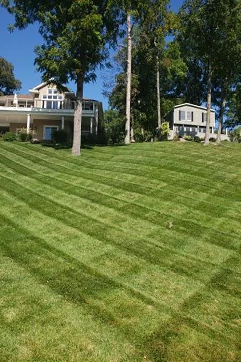 Expert lawn care service for homes across Delphi, IN - Everlawn by Jamie Houser