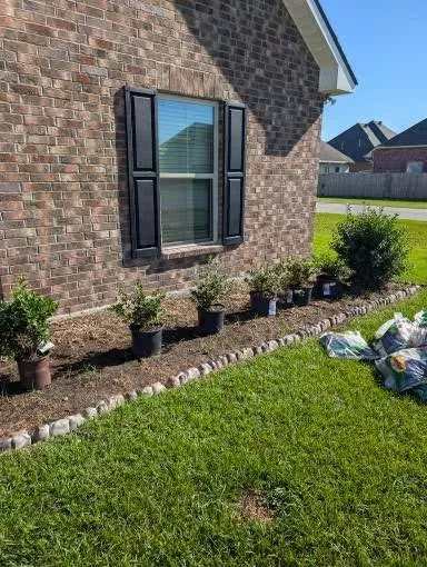 Custom landscape design for beautiful yards across Lafayette, LA - Everlush Lawn Care