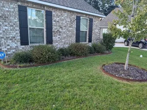Trusted outdoor landscaping experts serving Lafayette, LA - Everlush Lawn Care